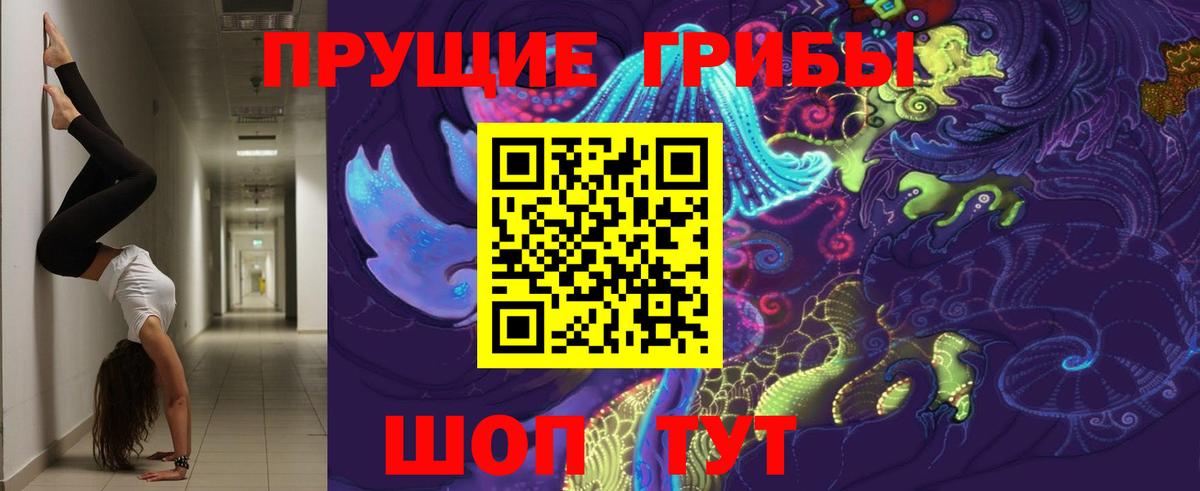 Псилоцибиновые грибы Psilocybe Новоалтайск